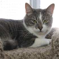 Thumbnail photo of Bobby #2