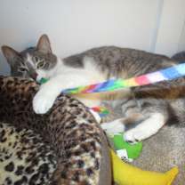 Thumbnail photo of Bobby #4