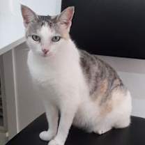 Thumbnail photo of Matilde #2