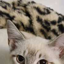 Thumbnail photo of Lucy #2