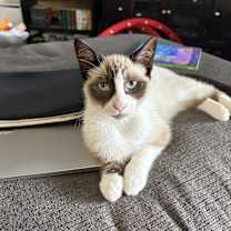 Thumbnail photo of Mama #3