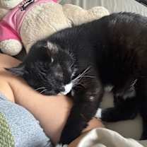 Thumbnail photo of Riedell #2
