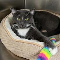 Thumbnail photo of Charlie #2