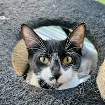 Thumbnail photo of Kipp #3