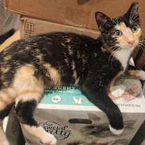 Thumbnail photo of Stormie #1