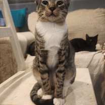 Thumbnail photo of Kiki #1