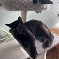 Thumbnail photo of Benny #3