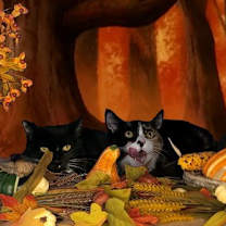 Thumbnail photo of Mai #2