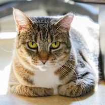 Thumbnail photo of Jenny 042021 #1