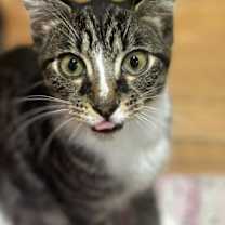 Thumbnail photo of Damian #2