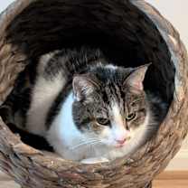 Thumbnail photo of Ariel has been waiting along time #1