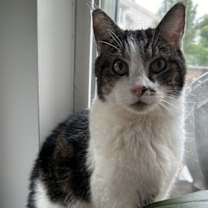 Thumbnail photo of Ariel has been waiting along time #2