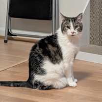 Thumbnail photo of Ariel has been waiting along time #3