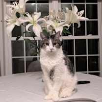 Thumbnail photo of Ariel has been waiting along time #4