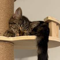 Thumbnail photo of Sunny #3