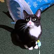 Thumbnail photo of Fig Newton #2