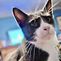 Thumbnail photo of Mateo #1