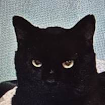 Thumbnail photo of Wilson #1