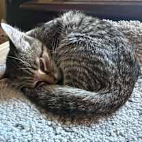 Thumbnail photo of Meanie #1