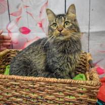 Thumbnail photo of Wednesday #4