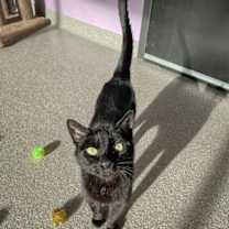 Thumbnail photo of January #2