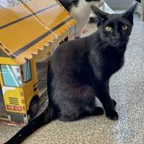 Thumbnail photo of January #3