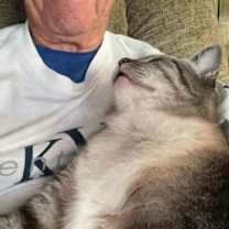 Thumbnail photo of Teo - urgent!!! #2