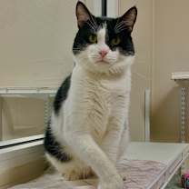 Thumbnail photo of Biggie #2