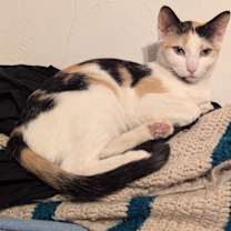 Thumbnail photo of Muneca #1