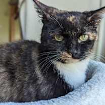 Thumbnail photo of Emily #1