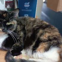 Thumbnail photo of Emily #2