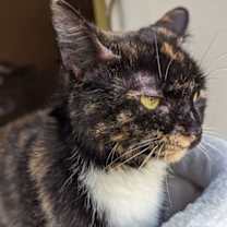 Thumbnail photo of Emily #4