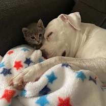 Thumbnail photo of Rupaul #4