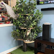 Thumbnail photo of Layne #2