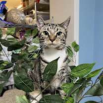 Thumbnail photo of Layne #3