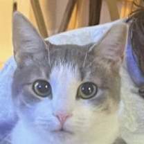 Thumbnail photo of Chancey #1