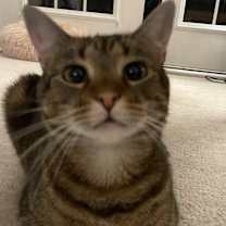 Thumbnail photo of Maxine #4