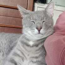 Thumbnail photo of Brady #4