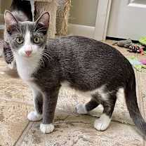 Thumbnail photo of Emile #2