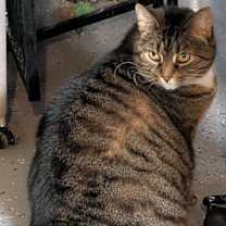 Thumbnail photo of Darla Sue #2