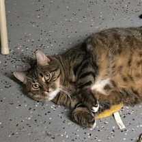 Thumbnail photo of Darla Sue #3