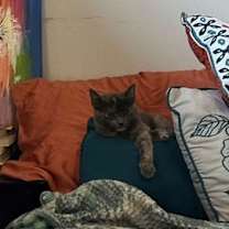 Thumbnail photo of Wendy #4