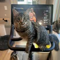 Thumbnail photo of Jinxy and Binxy #2