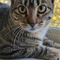 Thumbnail photo of Jenny #1