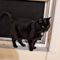 Thumbnail photo of Muñeca #3