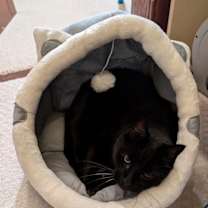 Thumbnail photo of Muñeca #4