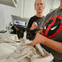 Thumbnail photo of Placket #2