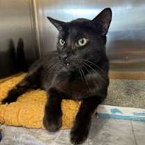 Thumbnail photo of Branch 4228 #2