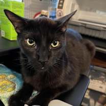 Thumbnail photo of Branch 4228 #3