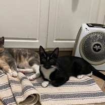 Thumbnail photo of Spicy #4